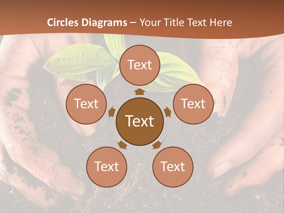 Carrying Care Life PowerPoint Template