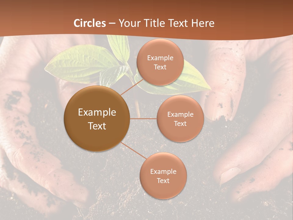 Carrying Care Life PowerPoint Template