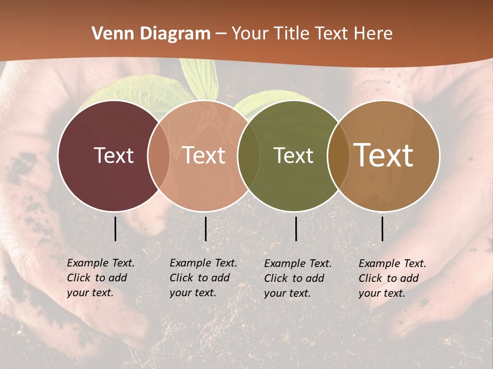 Carrying Care Life PowerPoint Template