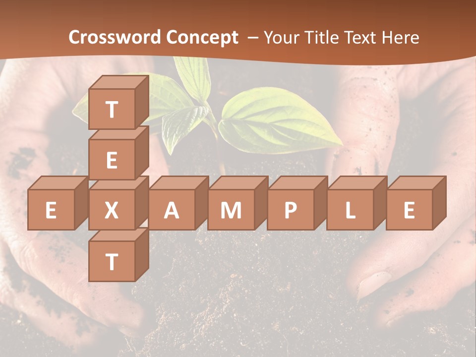 Carrying Care Life PowerPoint Template