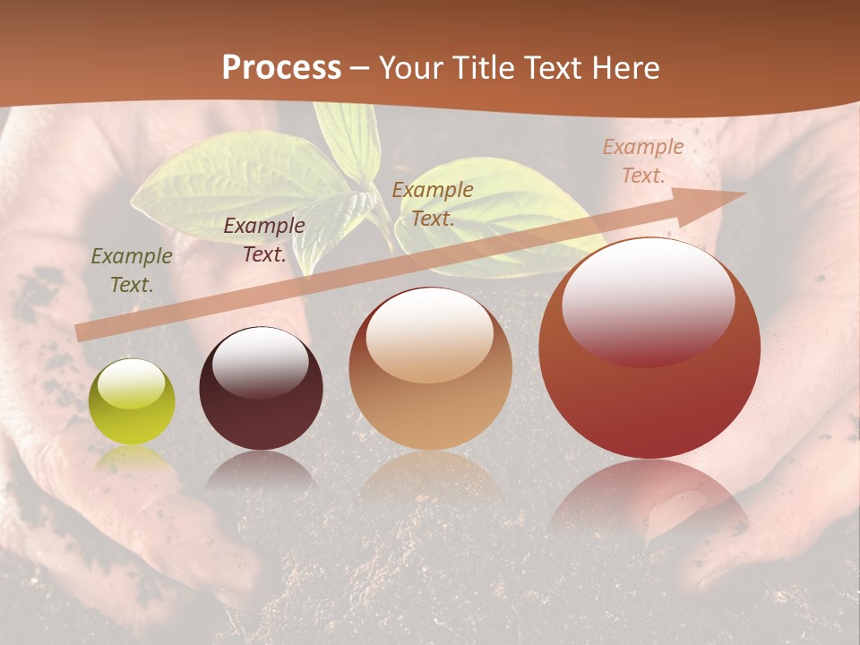 Carrying Care Life PowerPoint Template