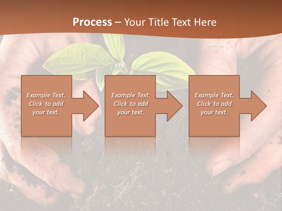 Carrying Care Life PowerPoint Template