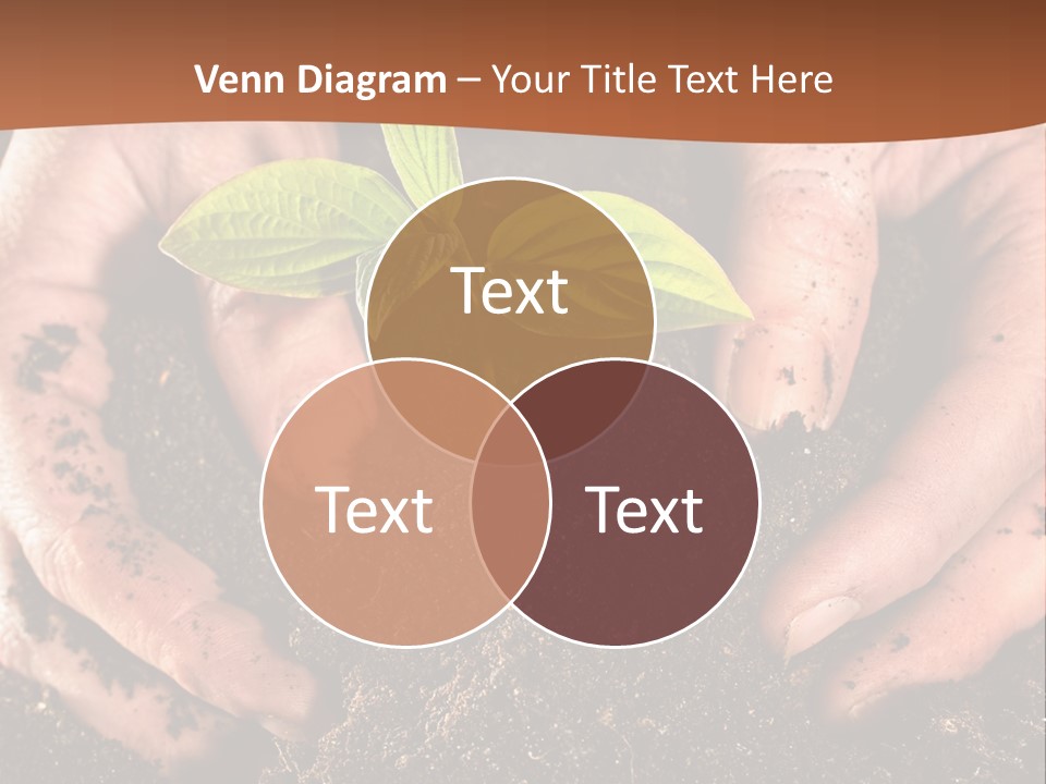 Carrying Care Life PowerPoint Template