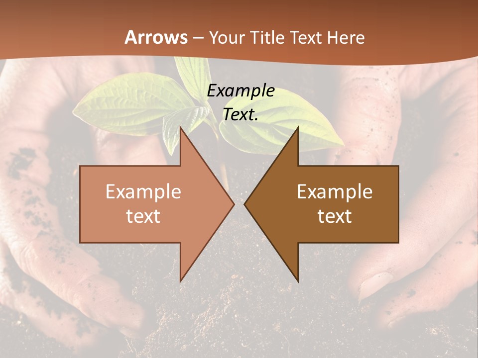 Carrying Care Life PowerPoint Template