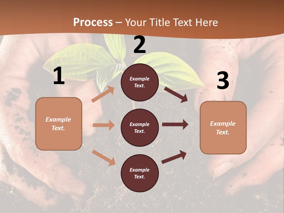 Carrying Care Life PowerPoint Template