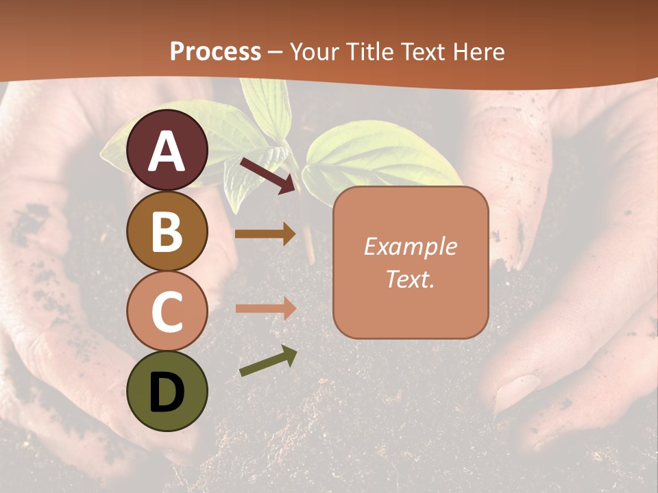 Carrying Care Life PowerPoint Template