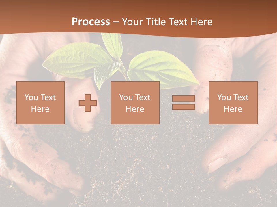 Carrying Care Life PowerPoint Template