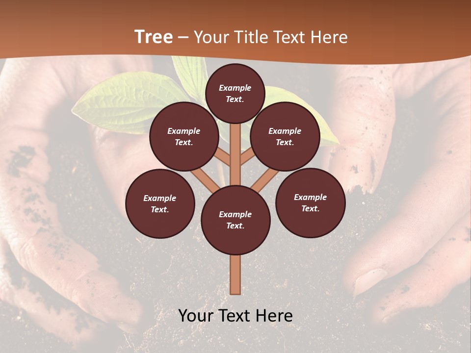 Carrying Care Life PowerPoint Template