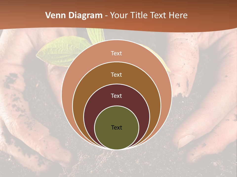 Carrying Care Life PowerPoint Template