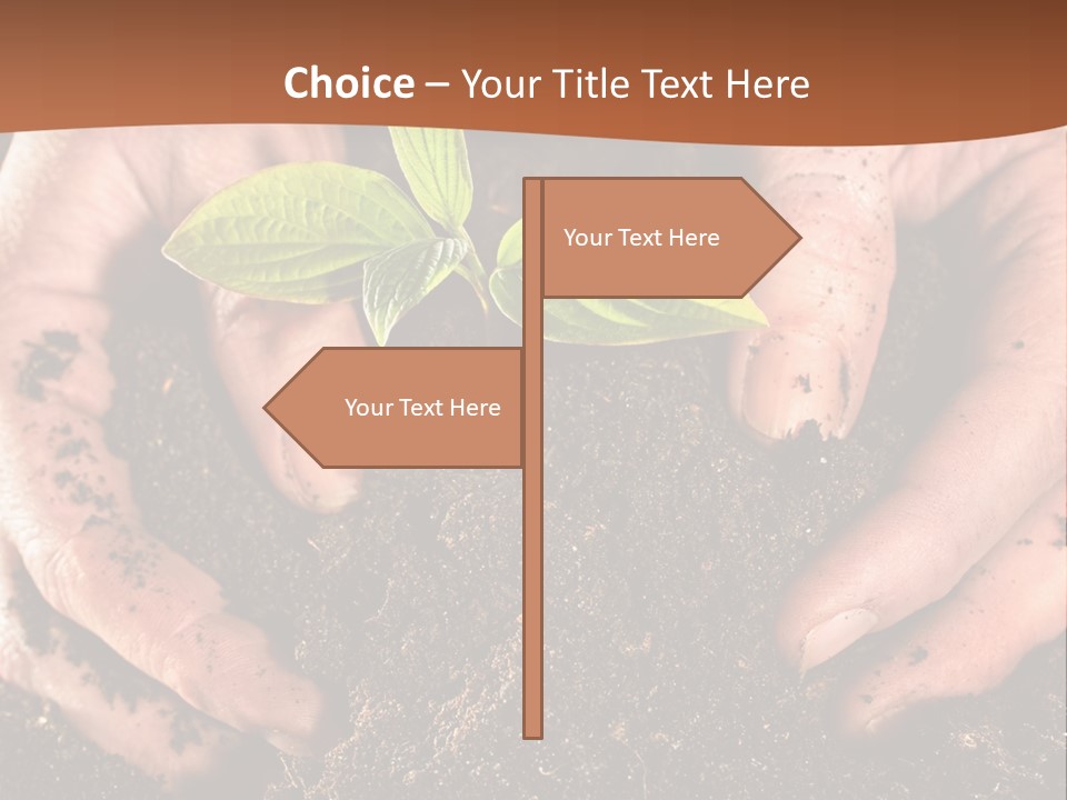 Carrying Care Life PowerPoint Template