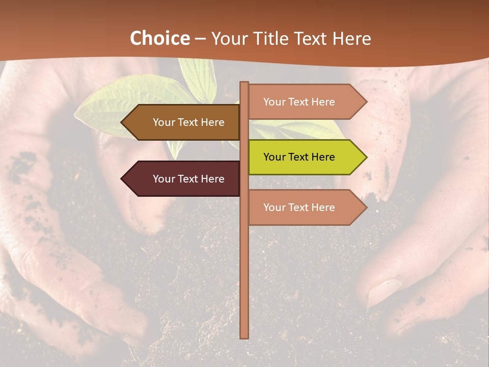 Carrying Care Life PowerPoint Template