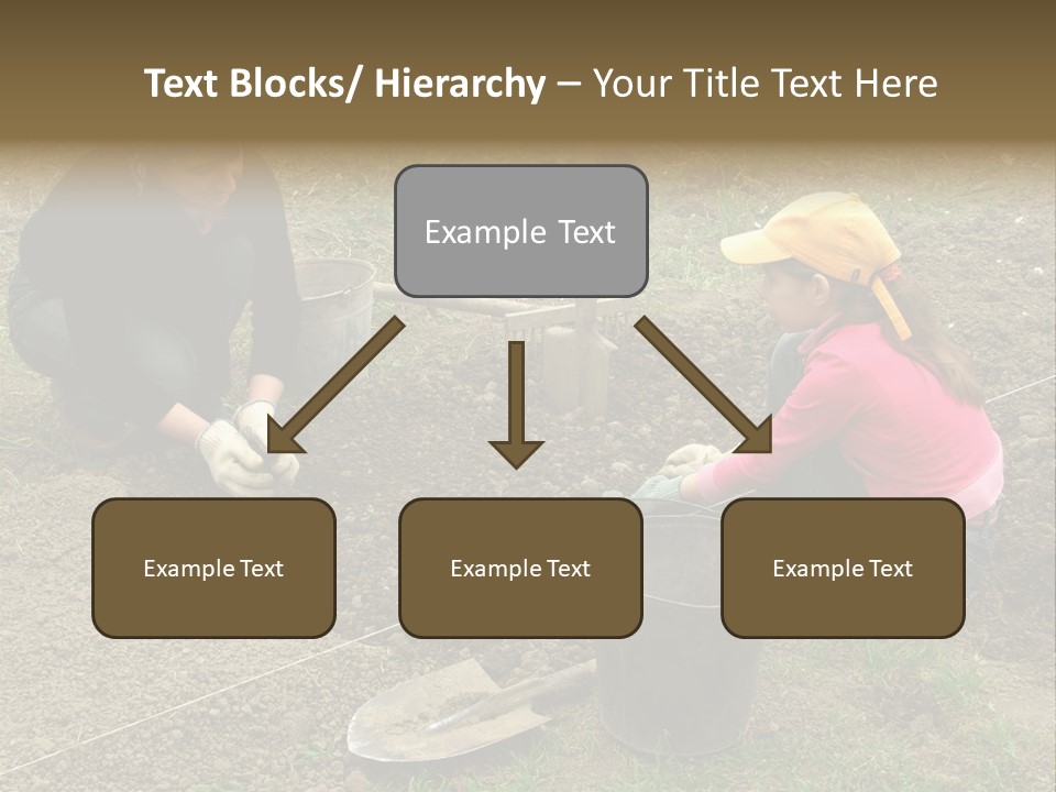 Work Plant Vegetable PowerPoint Template