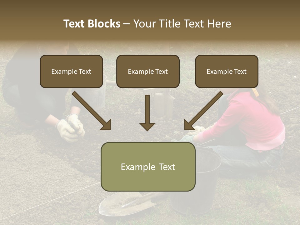 Work Plant Vegetable PowerPoint Template