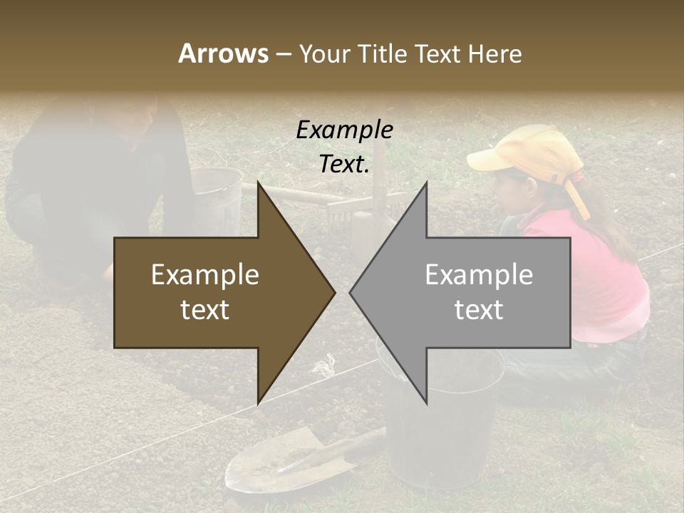 Work Plant Vegetable PowerPoint Template