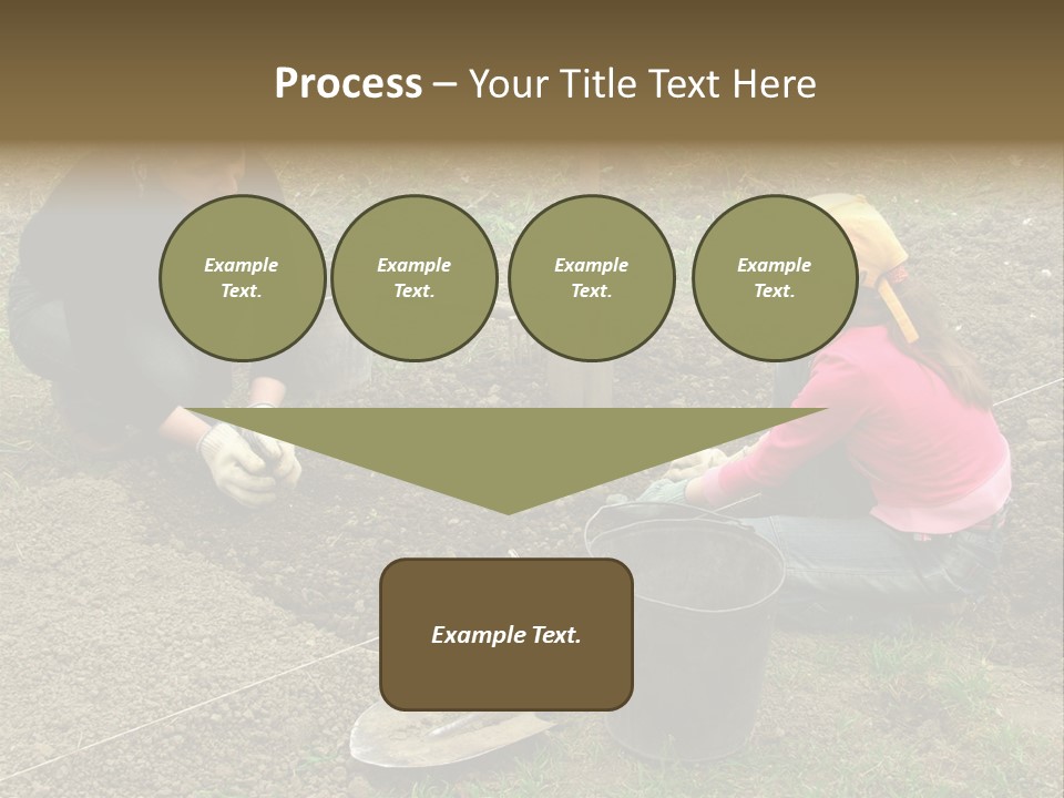 Work Plant Vegetable PowerPoint Template