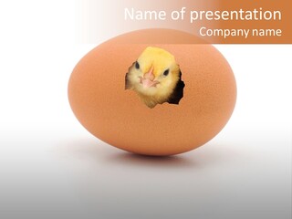 Smart Late Farming PowerPoint Template