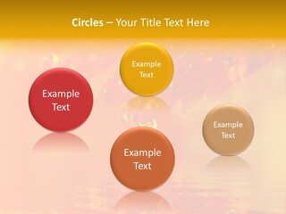 Water Drops Beads Background PowerPoint Template