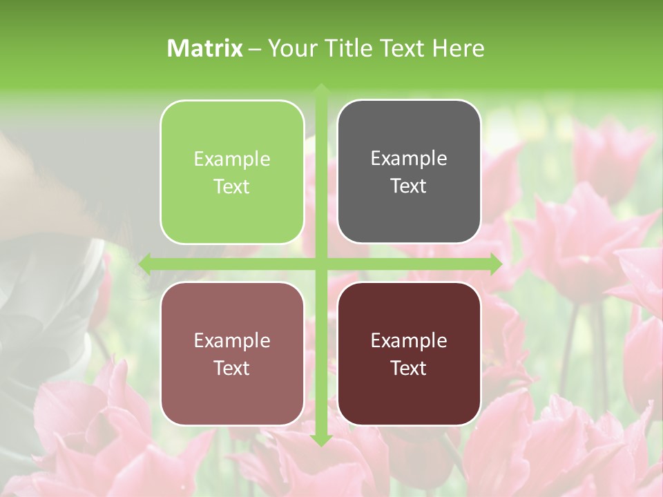 A Young Girl Smelling A Bunch Of Pink Flowers PowerPoint Template