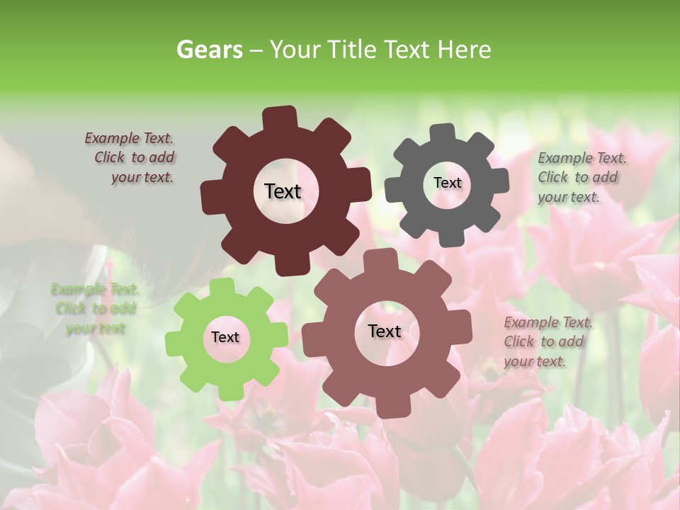 A Young Girl Smelling A Bunch Of Pink Flowers PowerPoint Template