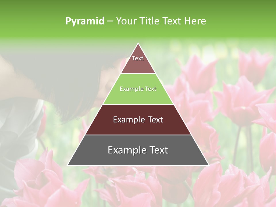 A Young Girl Smelling A Bunch Of Pink Flowers PowerPoint Template