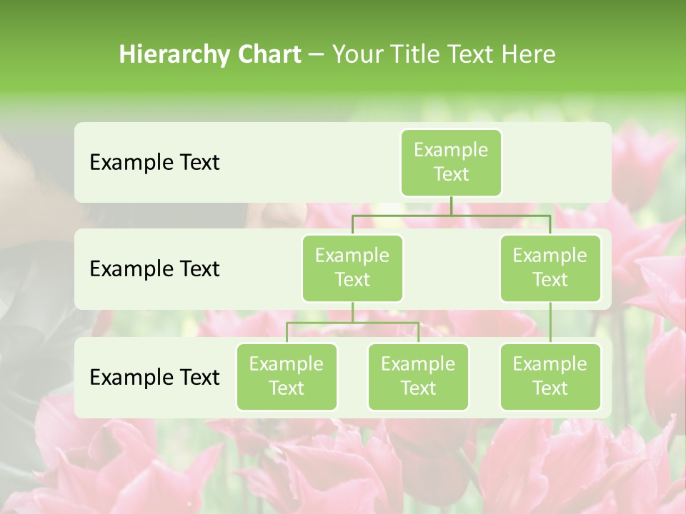 A Young Girl Smelling A Bunch Of Pink Flowers PowerPoint Template