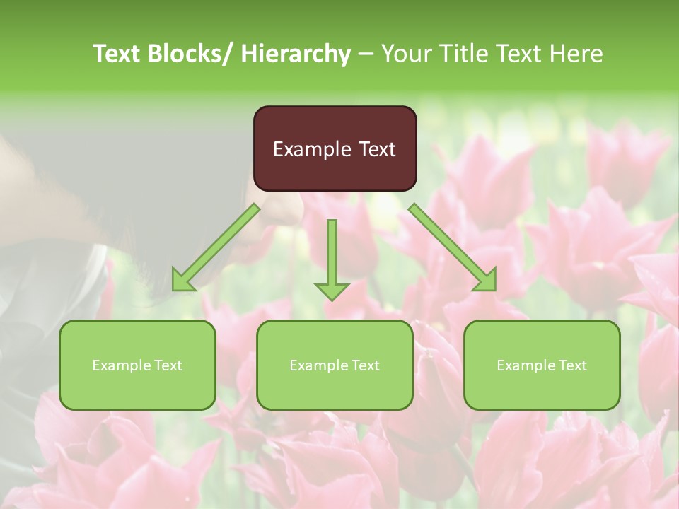 A Young Girl Smelling A Bunch Of Pink Flowers PowerPoint Template