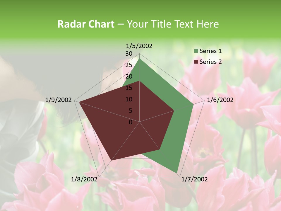 A Young Girl Smelling A Bunch Of Pink Flowers PowerPoint Template