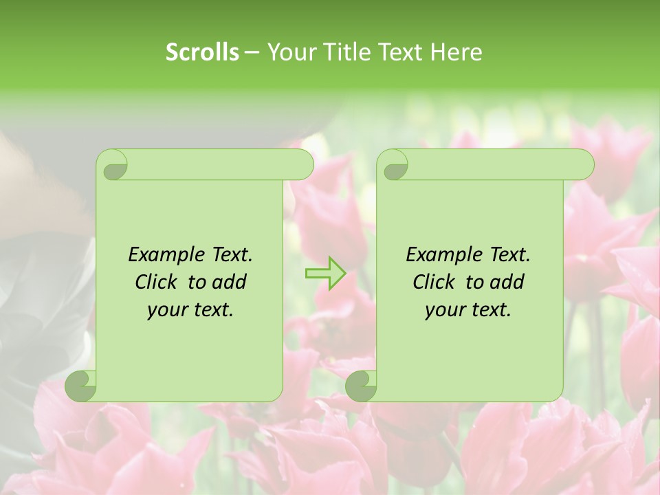 A Young Girl Smelling A Bunch Of Pink Flowers PowerPoint Template