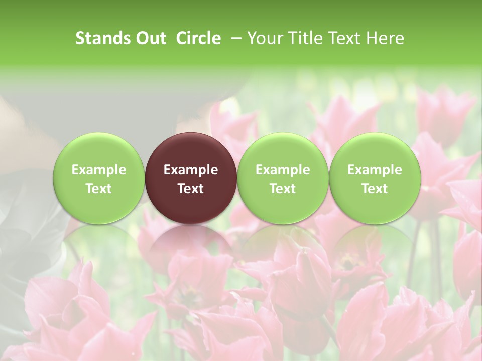 A Young Girl Smelling A Bunch Of Pink Flowers PowerPoint Template