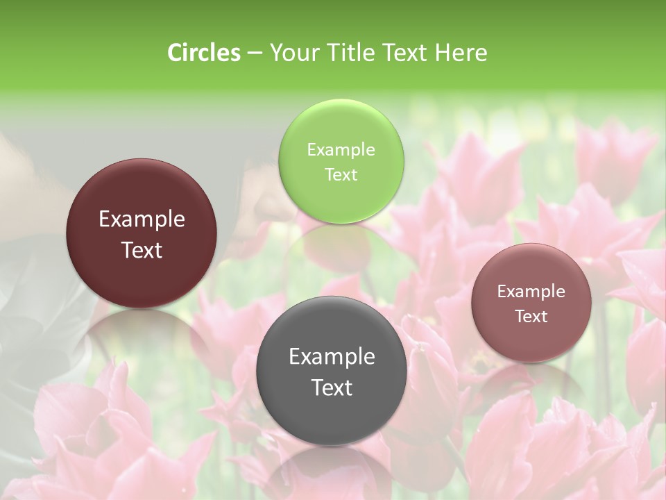 A Young Girl Smelling A Bunch Of Pink Flowers PowerPoint Template