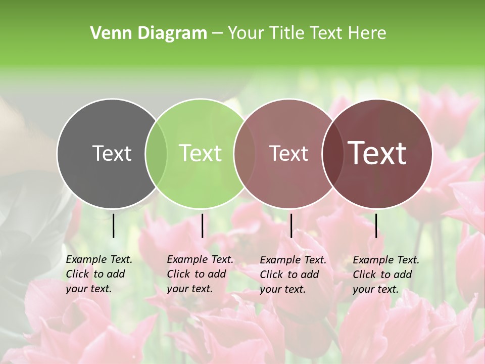 A Young Girl Smelling A Bunch Of Pink Flowers PowerPoint Template