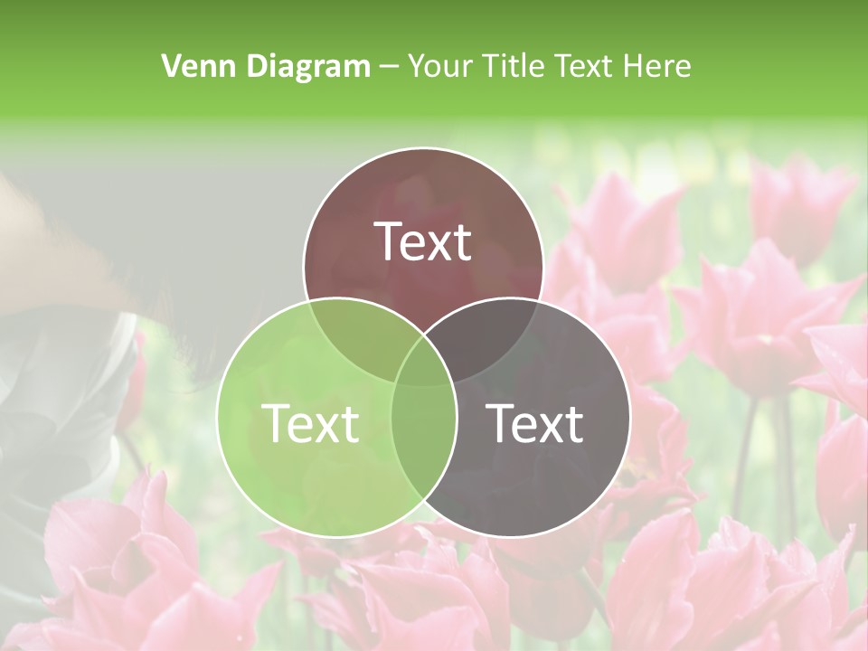 A Young Girl Smelling A Bunch Of Pink Flowers PowerPoint Template