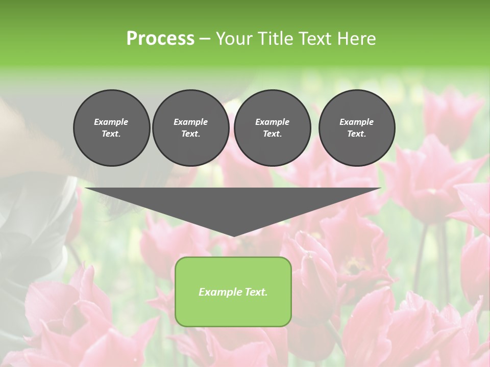 A Young Girl Smelling A Bunch Of Pink Flowers PowerPoint Template