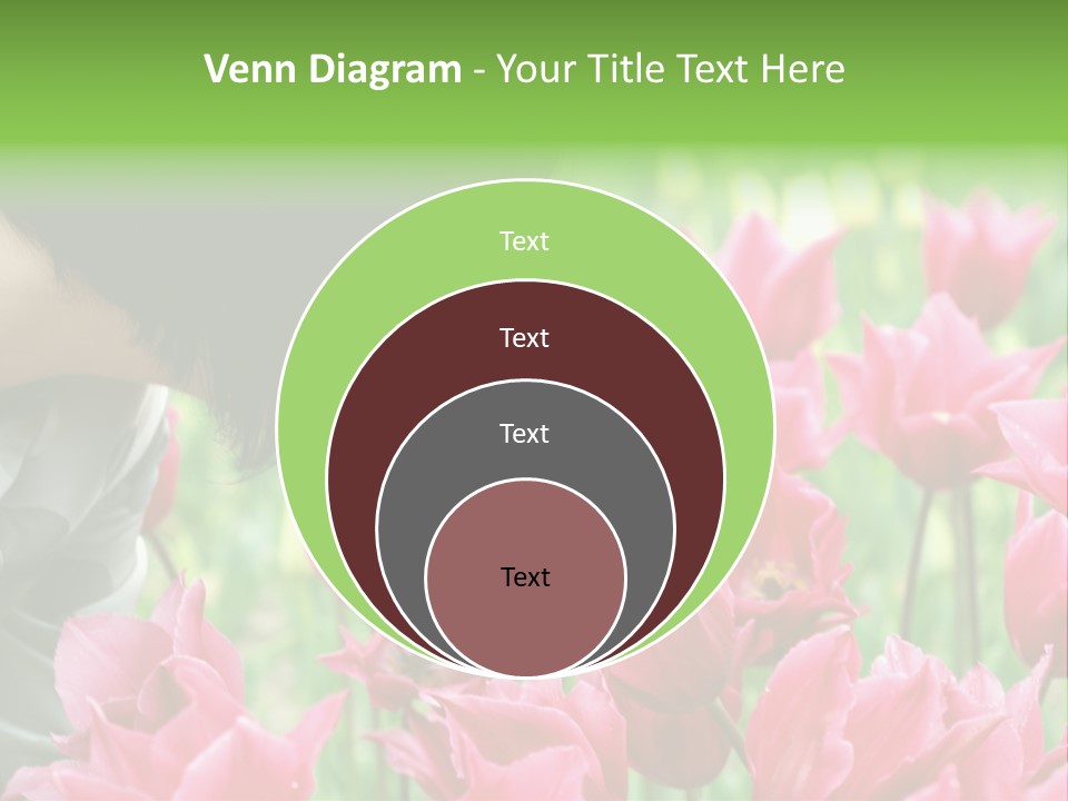 A Young Girl Smelling A Bunch Of Pink Flowers PowerPoint Template