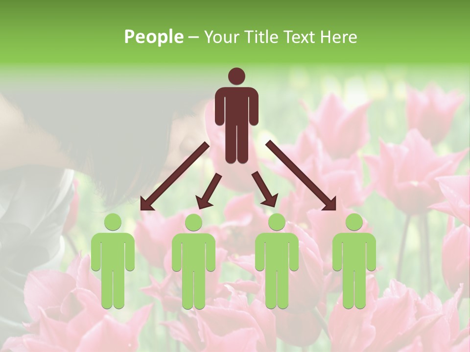 A Young Girl Smelling A Bunch Of Pink Flowers PowerPoint Template