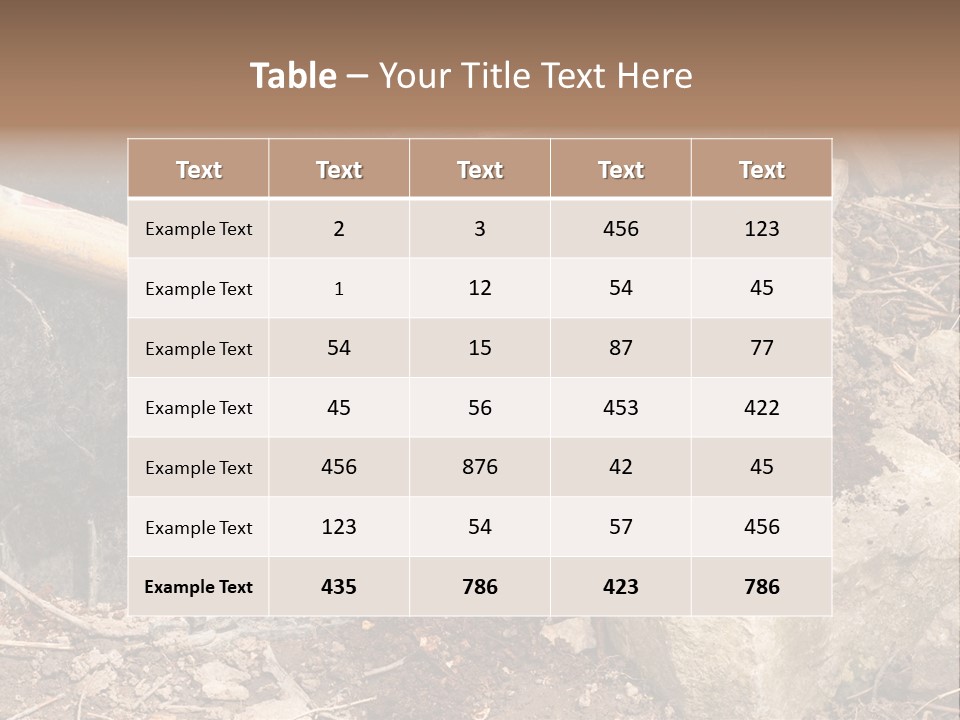 Night Deal Steal PowerPoint Template