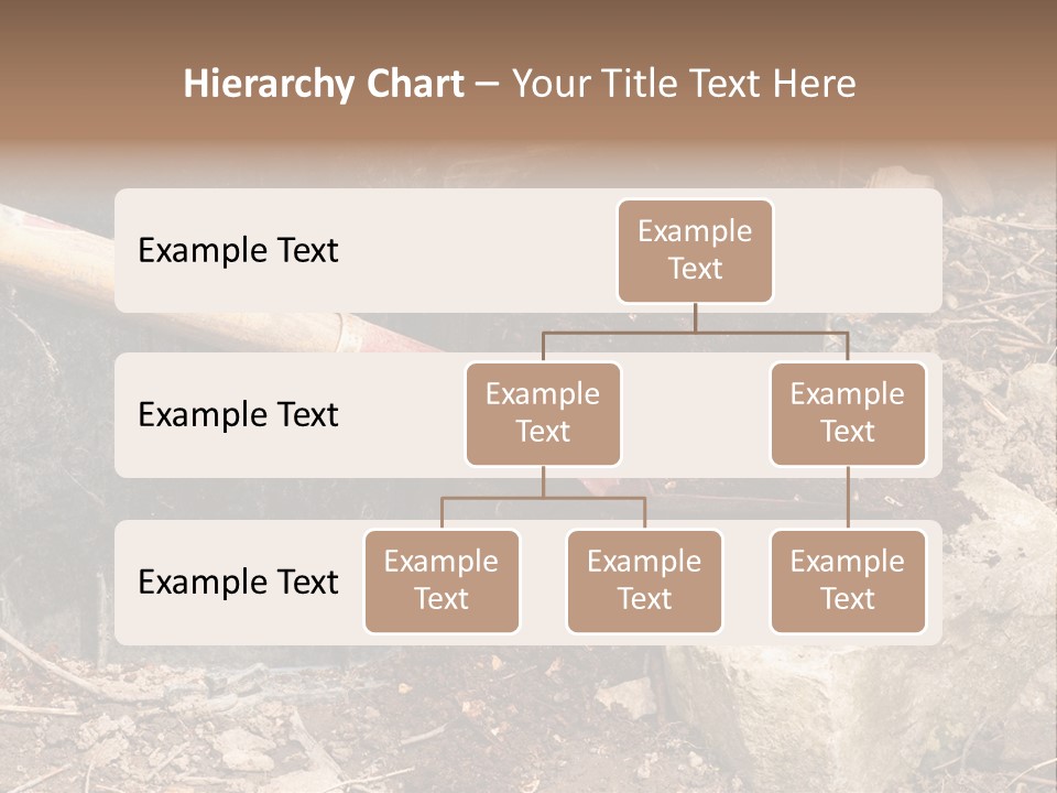 Night Deal Steal PowerPoint Template