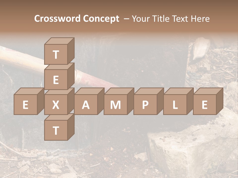 Night Deal Steal PowerPoint Template