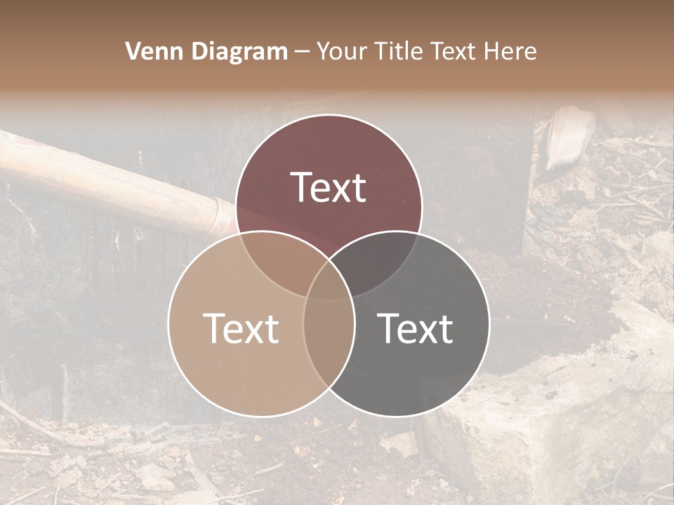 Night Deal Steal PowerPoint Template