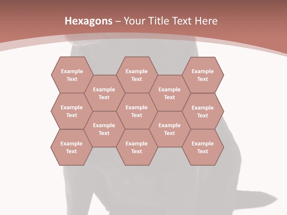 Pets Sitting Horizontal PowerPoint Template