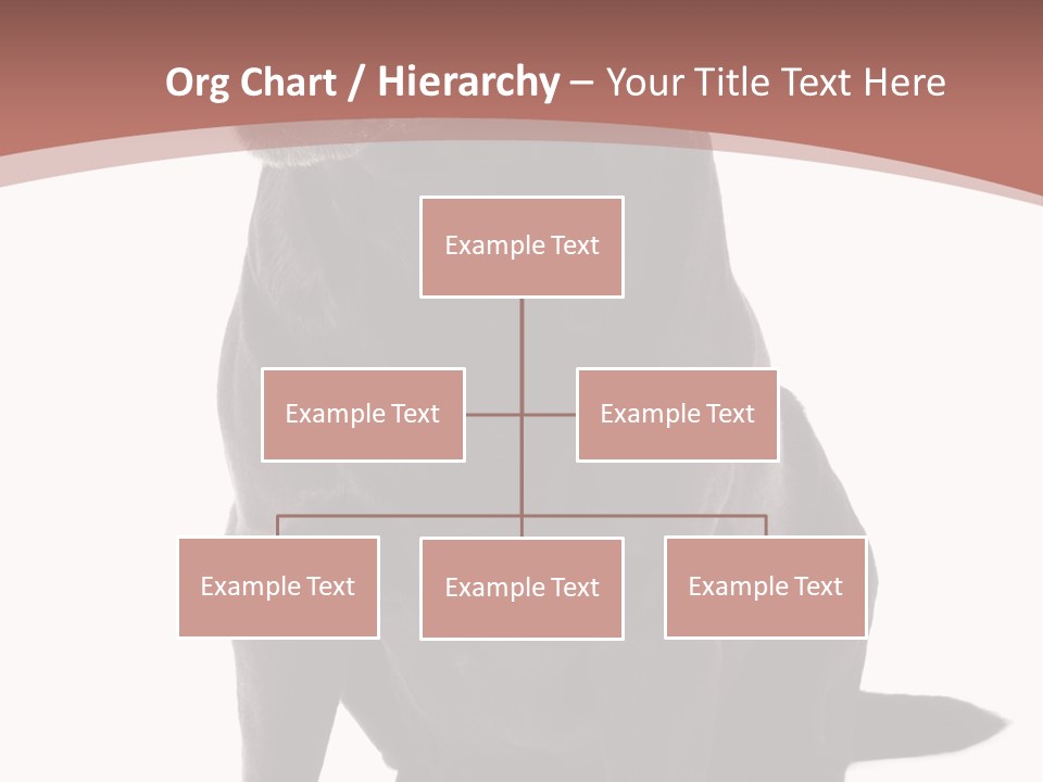 Pets Sitting Horizontal PowerPoint Template