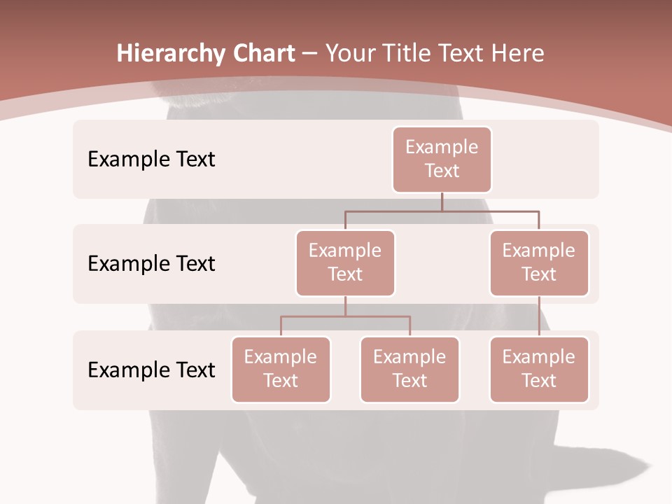 Pets Sitting Horizontal PowerPoint Template