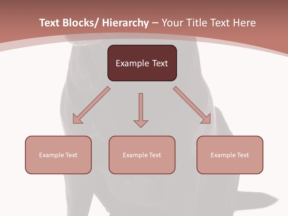 Pets Sitting Horizontal PowerPoint Template
