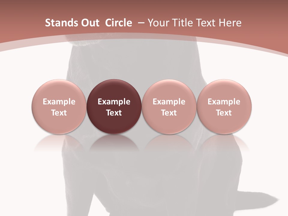 Pets Sitting Horizontal PowerPoint Template