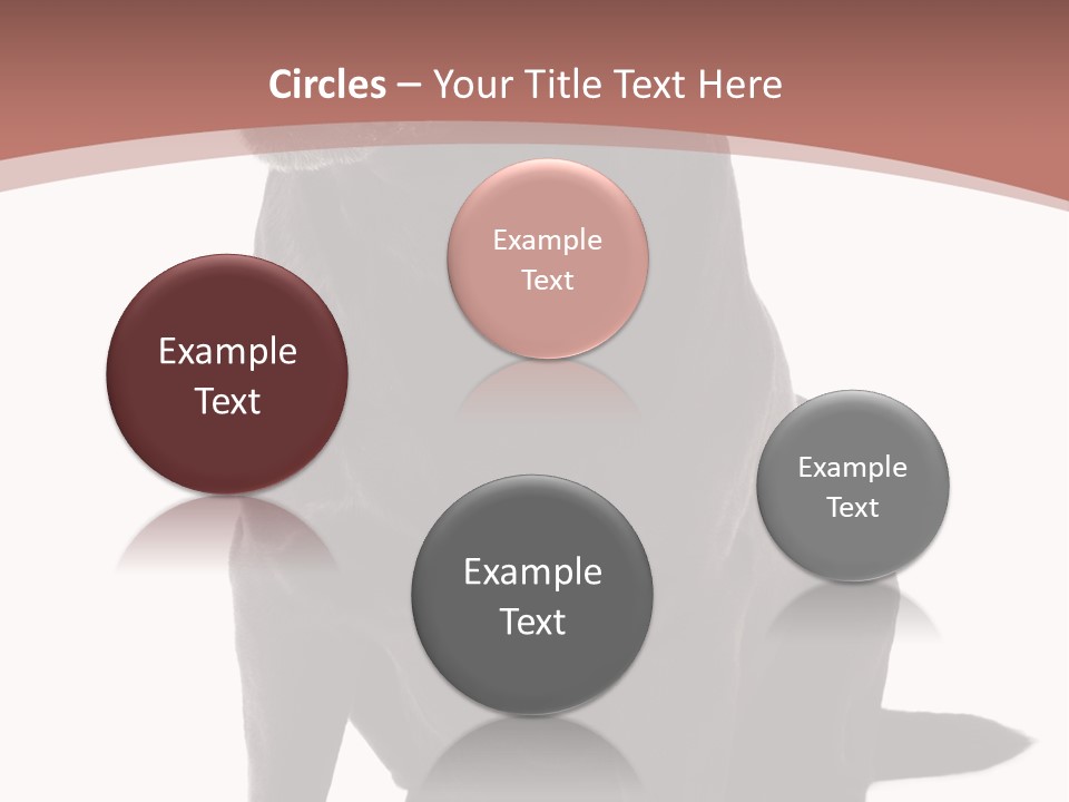 Pets Sitting Horizontal PowerPoint Template