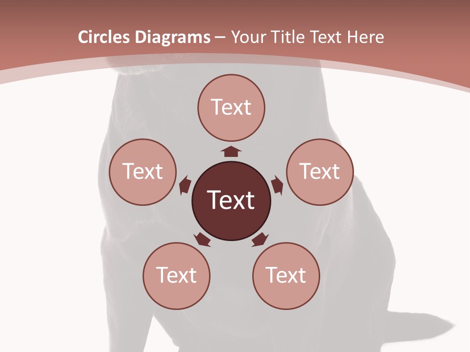 Pets Sitting Horizontal PowerPoint Template