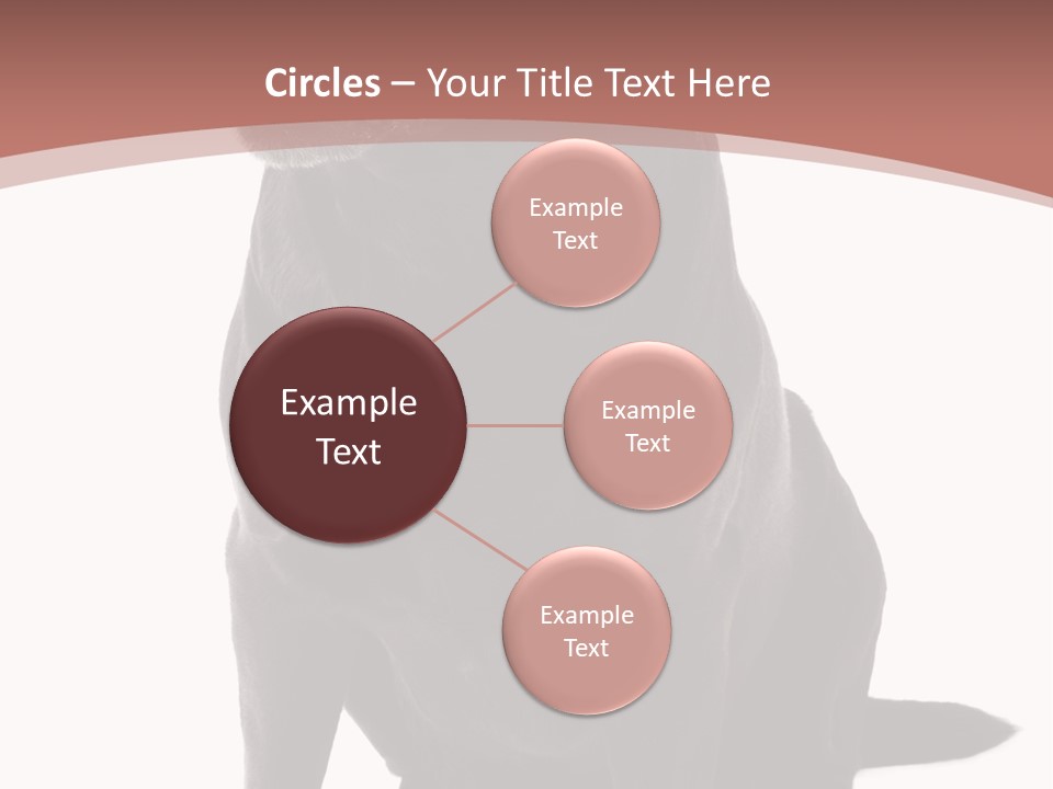 Pets Sitting Horizontal PowerPoint Template