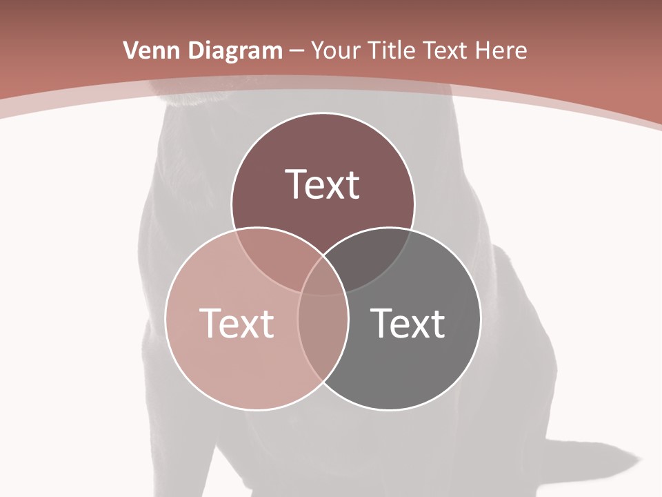 Pets Sitting Horizontal PowerPoint Template