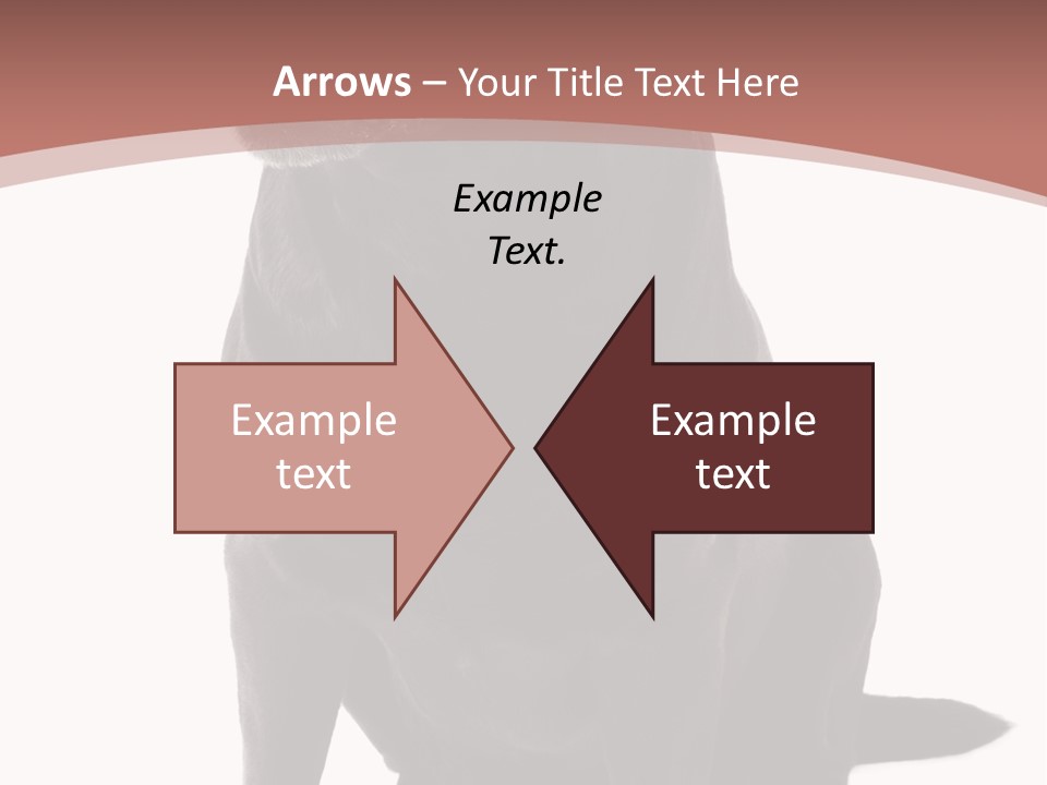 Pets Sitting Horizontal PowerPoint Template