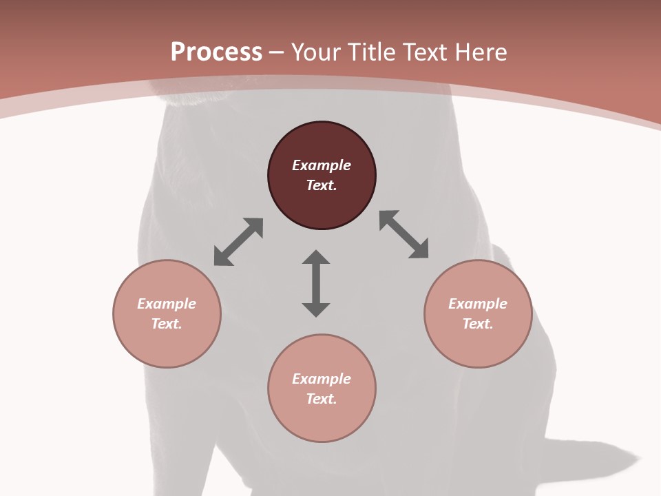 Pets Sitting Horizontal PowerPoint Template